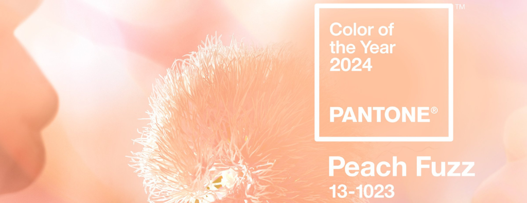 Pantone 2024 Color of the Year: How to Use Peach Fuzz in your Home