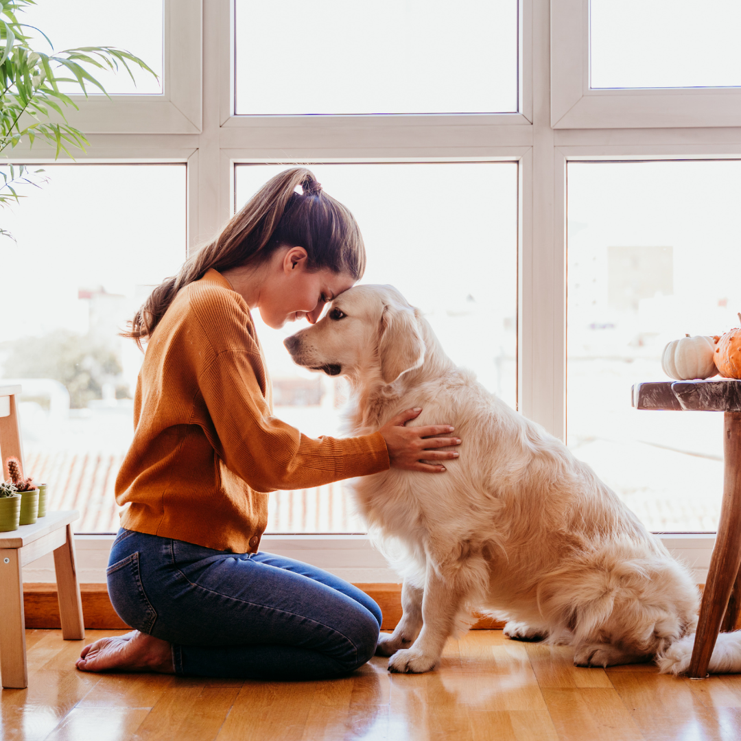 Pet Friendly Home Decor Ideas